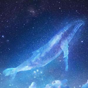 暴躁妹妹免费观看40集电视剧
