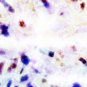 暴躁妹妹免费观看40集电视剧
